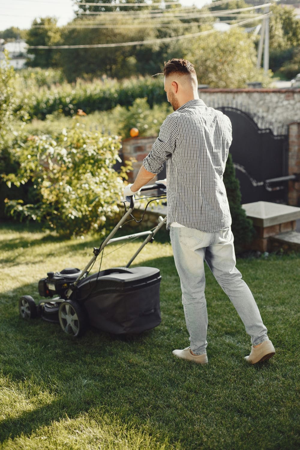 Lawn care image