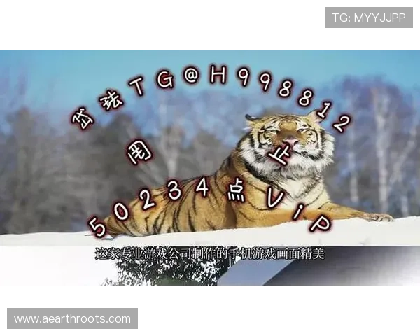 分析ag捕鱼官网官方地址的变化趋势与发展方向，为玩家选择最优登录方式提供参考