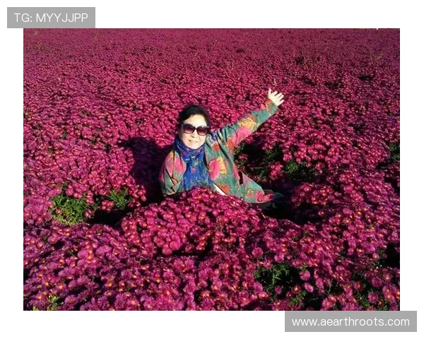 欧博真人官方网站：玩得尽兴，收获满满，感受刺激与乐趣的完美结合