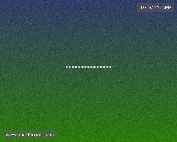 凯发娱乐真人版全站登录界面优化设计，提升用户登录体验与操作便捷性