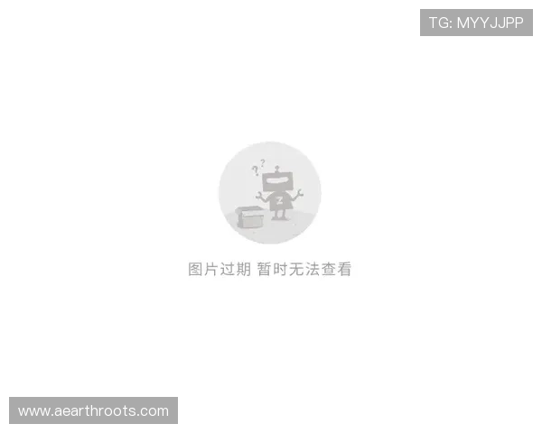 AG贵宾会网站的最新安全技术介绍保障玩家个人信息与交易安全