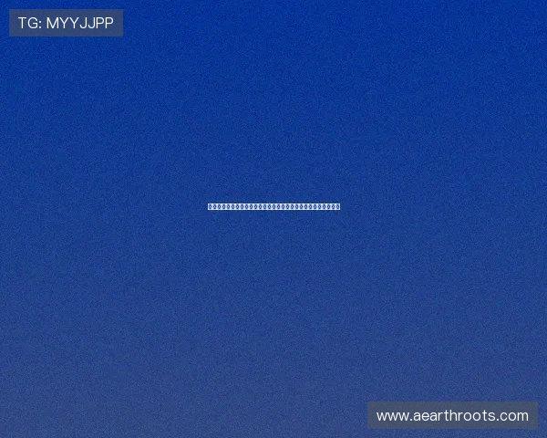 世界杯瑞典突尼斯比赛中换人规则变化对球队战术调整的影响分析